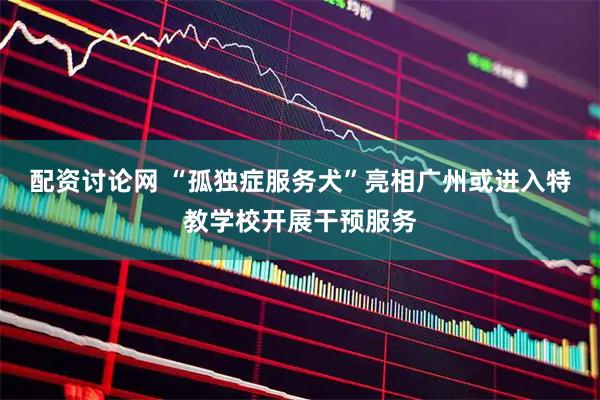 配资讨论网 “孤独症服务犬”亮相广州或进入特教学校开展干预服务