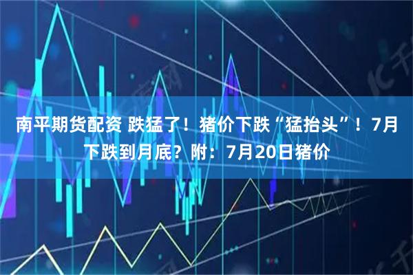 南平期货配资 跌猛了!猪价下跌“猛抬头”!7月下跌到月底?附:7月20日猪价